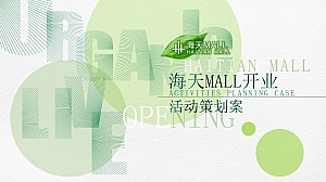 商业开业活动全案