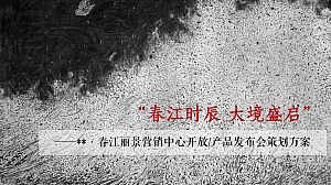 高端发布会住房地产发布会活动策划方案