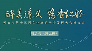 政府文旅推介会活动方案