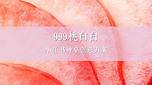 保健品牌医药品牌营销策划方案胶原蛋白饮产品小红书种草创意方案