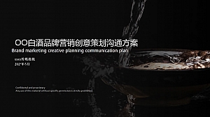 某白酒品牌规划与营销定位策划方案