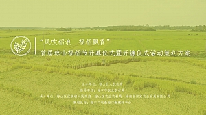 首届琼山福稻节开幕仪式暨开镰仪式(风吹稻浪 福稻飘香主题)活动策划方案