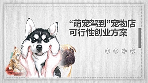 宠物品牌营销方案可行性创业方案