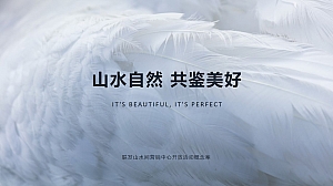 联发山水间【山水自然 共鉴美好】营销中心开放活动概念案