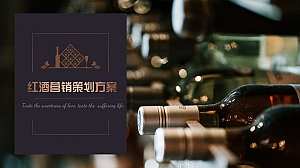 轻奢红酒营销方案