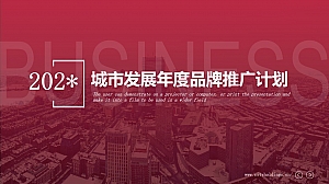 城市发展年度品牌推广计划