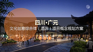 广元文化创意综合体项目概念规划方案