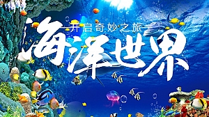 海洋展海洋节主题嘉年华活动策划方案