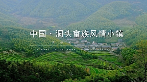 地产文旅品牌活动规划