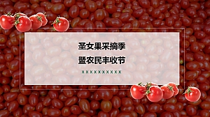 圣女果采摘季活动策划方案