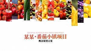 乡村振兴战略:202X番茄小镇项目定位概念规划方案