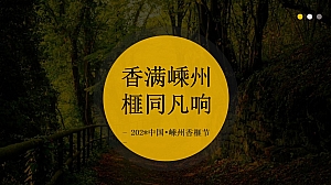 城市香榧节活动策划方案