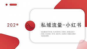 零售私域流量-小红书项目策划书