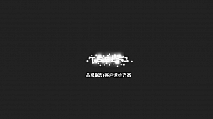 地产×特斯拉汽车×机场品牌联合推广活动策划方案