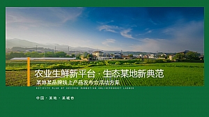 农副产品整合营销方案