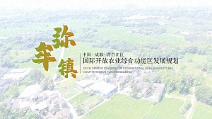 文旅项目三农行业旅游项目品牌营销