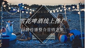 雪花啤酒线上推广品牌传播整合营销方案