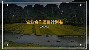 农商整合项目计划书