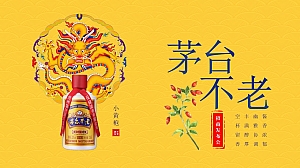 酒水不老茅台招商发布会方案