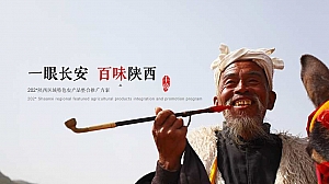 陕西区域特色农产品整合推广方案