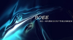 保亿·湖风雅园五月客户答谢会策略提案(盛唐呈)