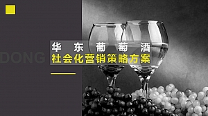 (酒水)华东葡萄酒社会化营销方案