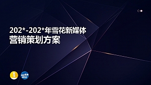 雪花新媒体营销策划方案