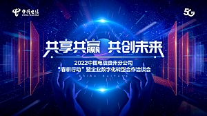 中国电信企业数字化转型合作洽谈会策划方案