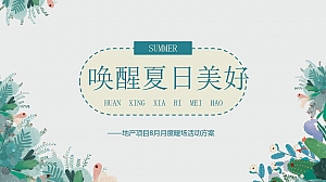 某项目8月唤醒夏日美好主题活动策划案