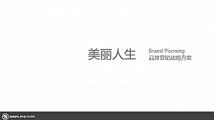 美丽人生品牌营销方案(种草带货、社交传播、新媒体运营、母婴)-47P