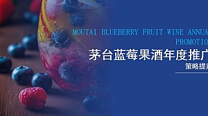 XX蓝莓果酒品牌年度推广策略提案