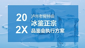 泸州老窖特曲202X年冰鉴正宗品鉴会执行方案