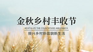 中秋金秋乡村农村丰收节露营活动