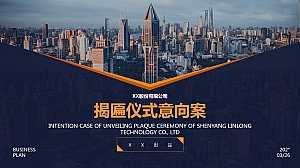 公司开业项目成立揭牌揭匾仪式及领导贵宾接待方案