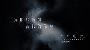 住房地产品牌发布会暨明星演唱会活动策划方案