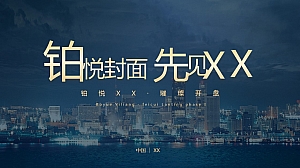 铂悦之境 地产项目开盘方案