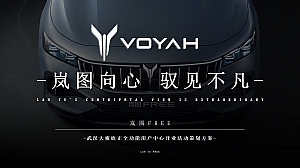 4s店 岚图汽车开业活动策划方案