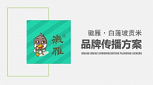 大米品牌传播活动策划方案