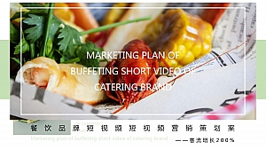 餐饮品牌抖音短视频营销推广方案