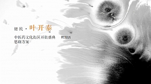 中医药文化街区古风街区开街仪式策划方案