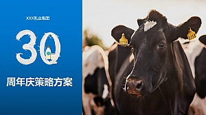 乳企30周年策略方案提案