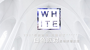 梅赛德斯-奔驰东区白色派对活动策划方案