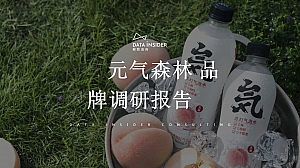 元气森林品牌调研方案