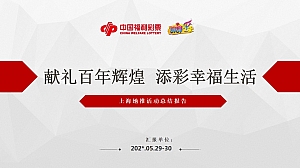 献礼百年辉煌   添彩幸福生活(上海)地推活动结案报告