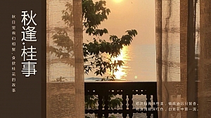 秋季桂花主题月度暖场方案