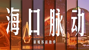 海口市新媒体宣传方案