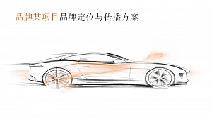 二手车品牌定位与传播方案-行销集团线上平台营销策划方案