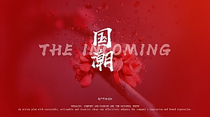 国潮地产开放活动方案