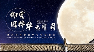 地产项目营销中心开放(御赏国粹 华光耀月主题)活动策划方案-52P