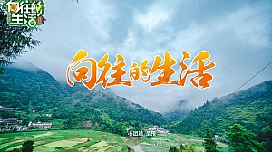 《向往的生活》主题活动策划方案